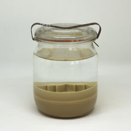 pendar nabipour tweede kamer 