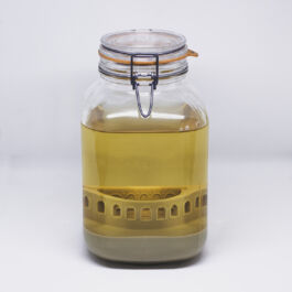 Pendar nabipour Camera dei deputati 