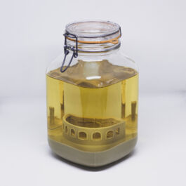 Pendar nabipour Camera dei deputati 