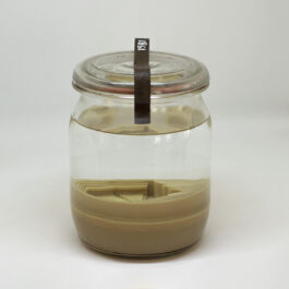 pendar nabipour tweede kamer 