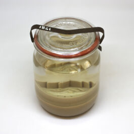 pendar nabipour tweede kamer 