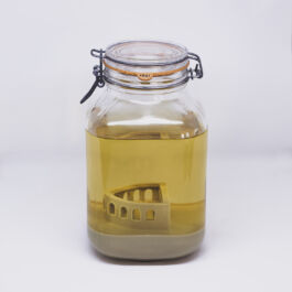 Pendar nabipour Camera dei deputati 