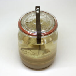 pendar nabipour tweede kamer 