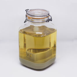 Pendar nabipour Camera dei deputati 