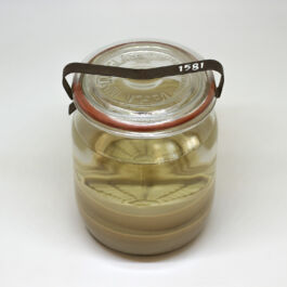 pendar nabipour tweede kamer 