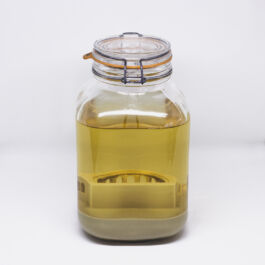 Pendar nabipour Camera dei deputati 