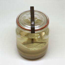 pendar nabipour tweede kamer 