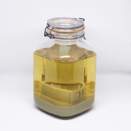 Pendar nabipour Camera dei deputati 