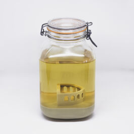 Pendar nabipour Camera dei deputati 