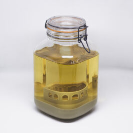 Pendar nabipour Camera dei deputati 