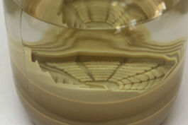 pendar nabipour tweede kamer 