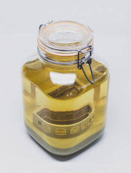 Pendar nabipour Camera dei deputati 