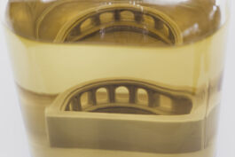 Pendar nabipour Camera dei deputati 