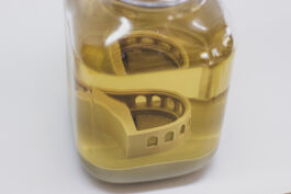 Pendar nabipour Camera dei deputati 