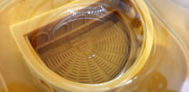 Pendar nabipour Camera dei deputati 