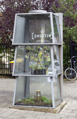 pendar nabipour de vitrine 